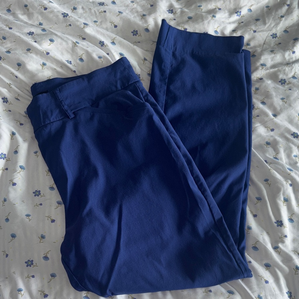 EUC blue ankle length pants